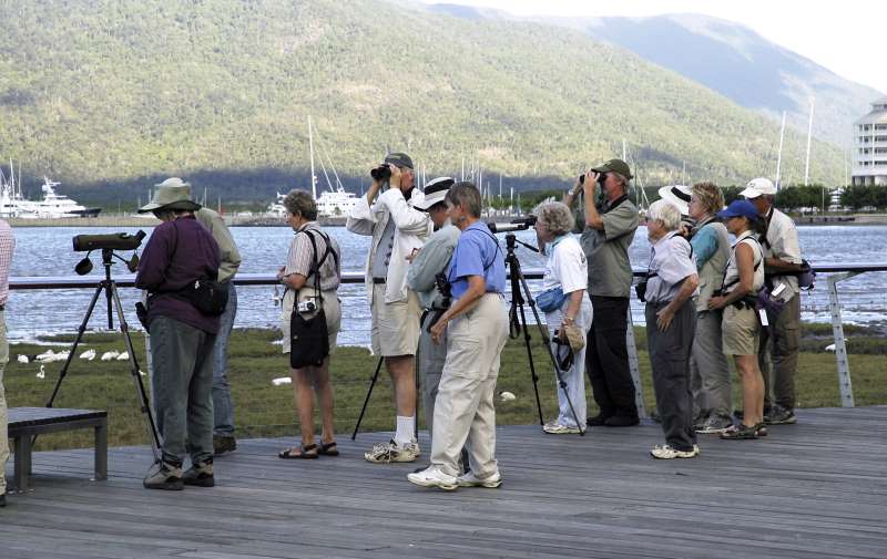 Bird Watching in Cairns