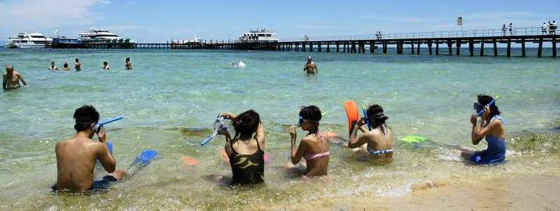 Green Island Swimmers