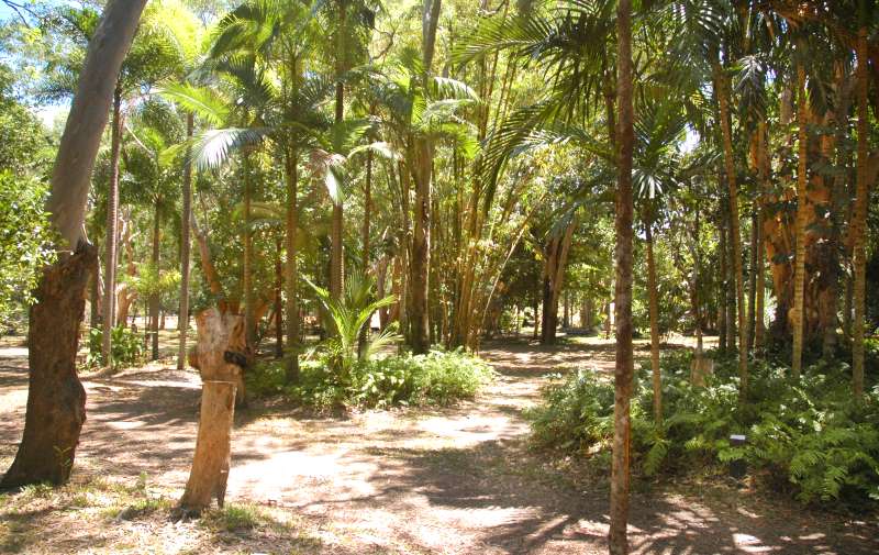 Cooktown Botanic Gardens