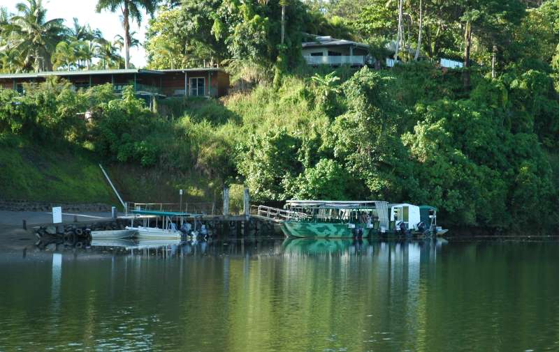 Daintree Attractions