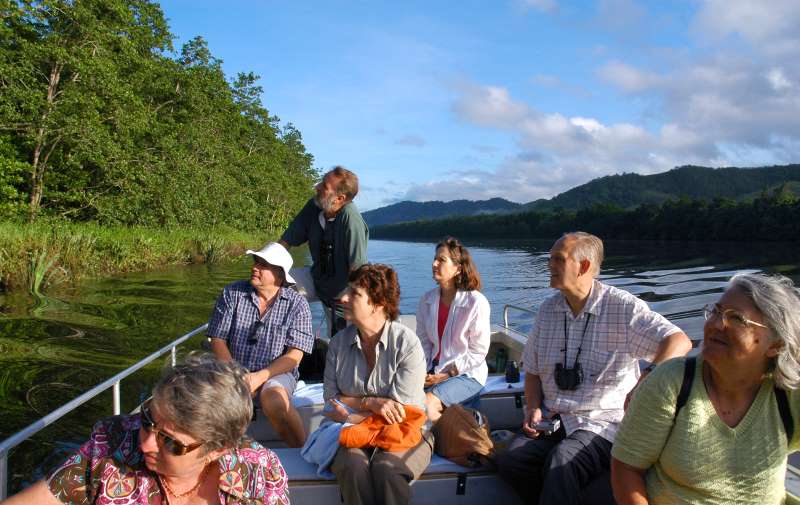 Bird Watching in Daintree