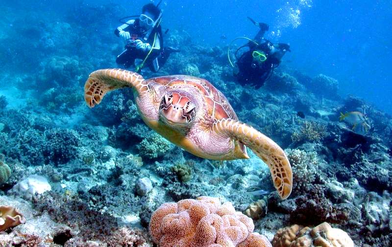 Great Barrier Reef